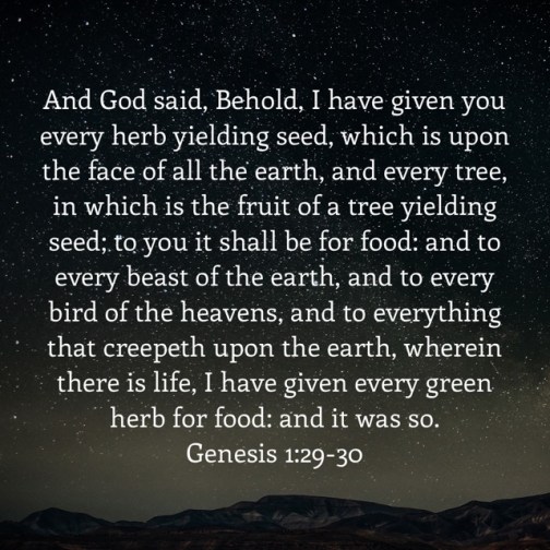 Genesis1-29-30.jpeg